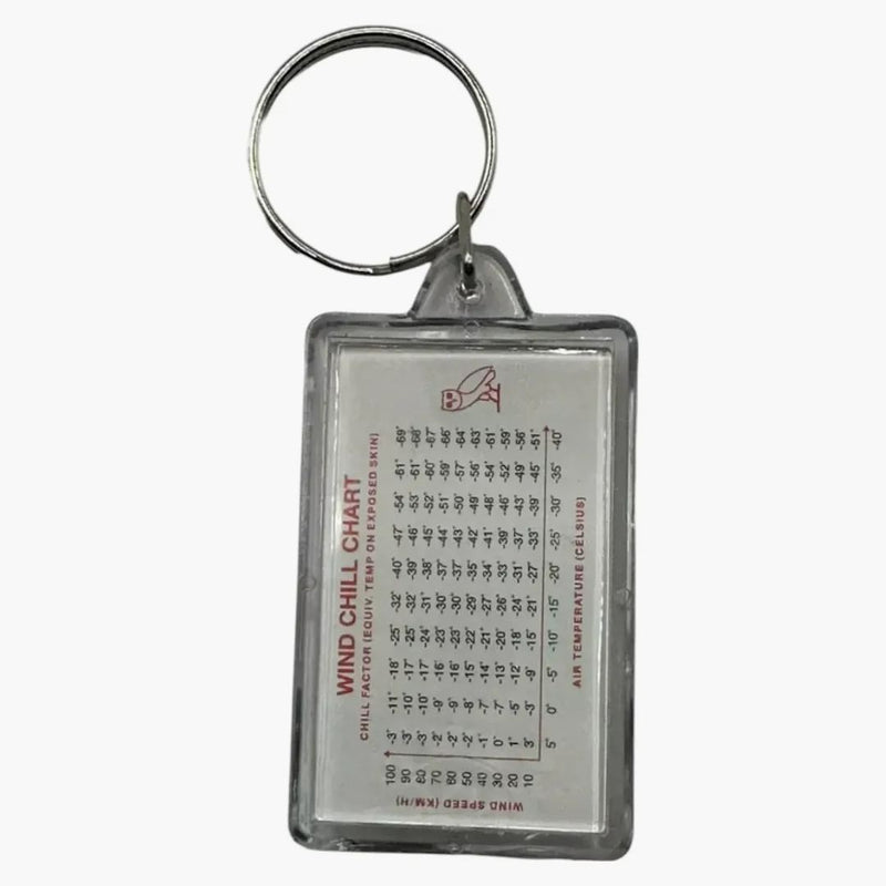 Ovo thermometer Compass Keychain Clear