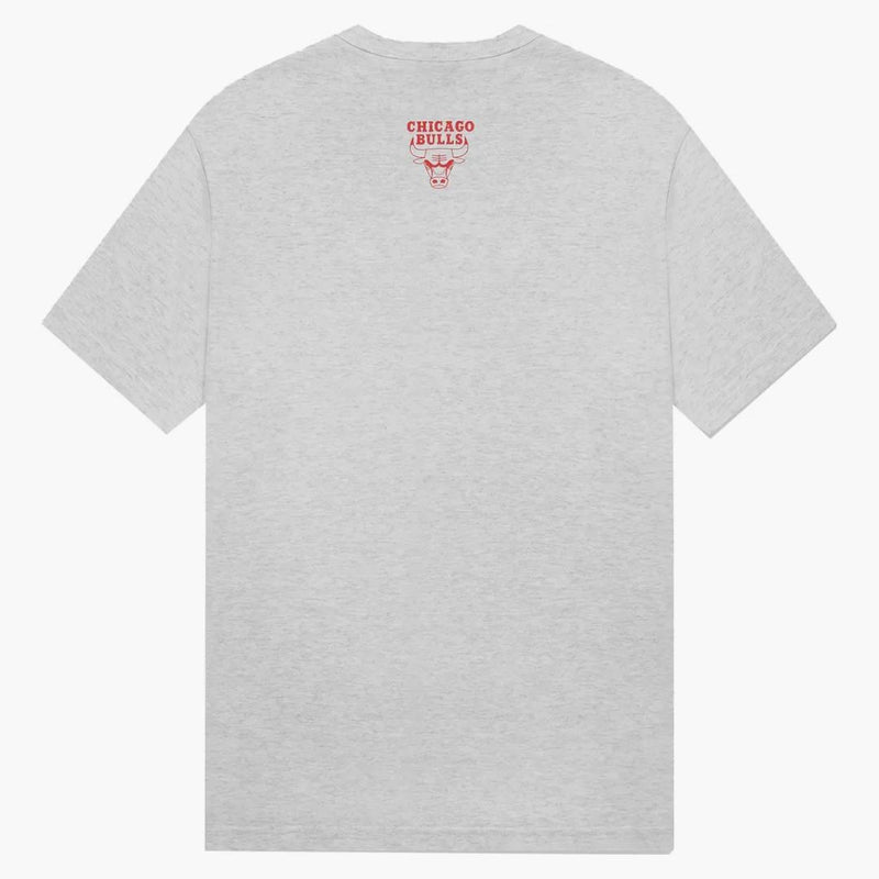 Ovo X NBA Bulls T-shirt Heather Gray