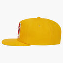 Ovo X Roots Trucker Cap Yellow