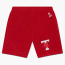 OVO X University of Toronto Mesh Short Red
