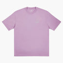 Palace arc'tteryx T-shirt haze
