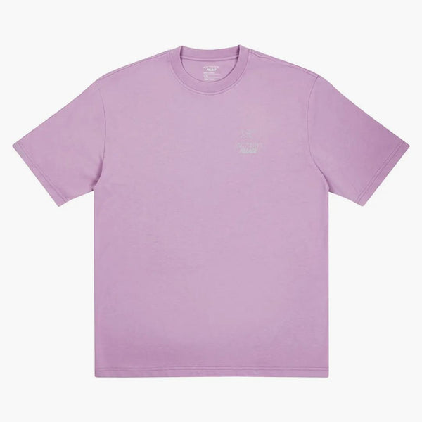 Palace Arc'teryx T-shirt Haze
