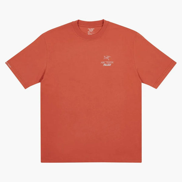 Palace Arc'teryx T-shirt Ochre