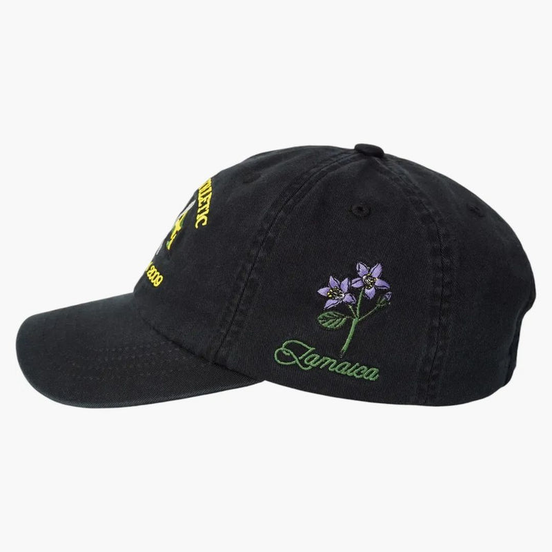 Palace Athletic 6-panel Black