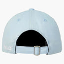 Palace Biowashed 3D P 6 Panel Baby Blue
