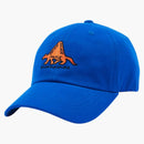 Palace Dino 6-Panel Blue/Orange
