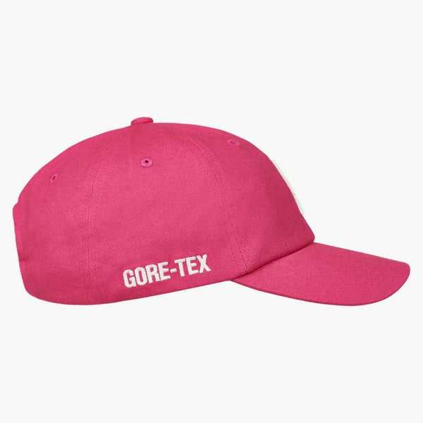 Palace Gore-Tex Pigment P 6 PONOWNI