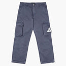 Pałacowe odzież barwiona ładunkiem spodni szary