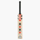 Palace Gray Nicolls Cricket Bat Wood