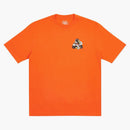 Palác hesh s čerstvým tričkem červené