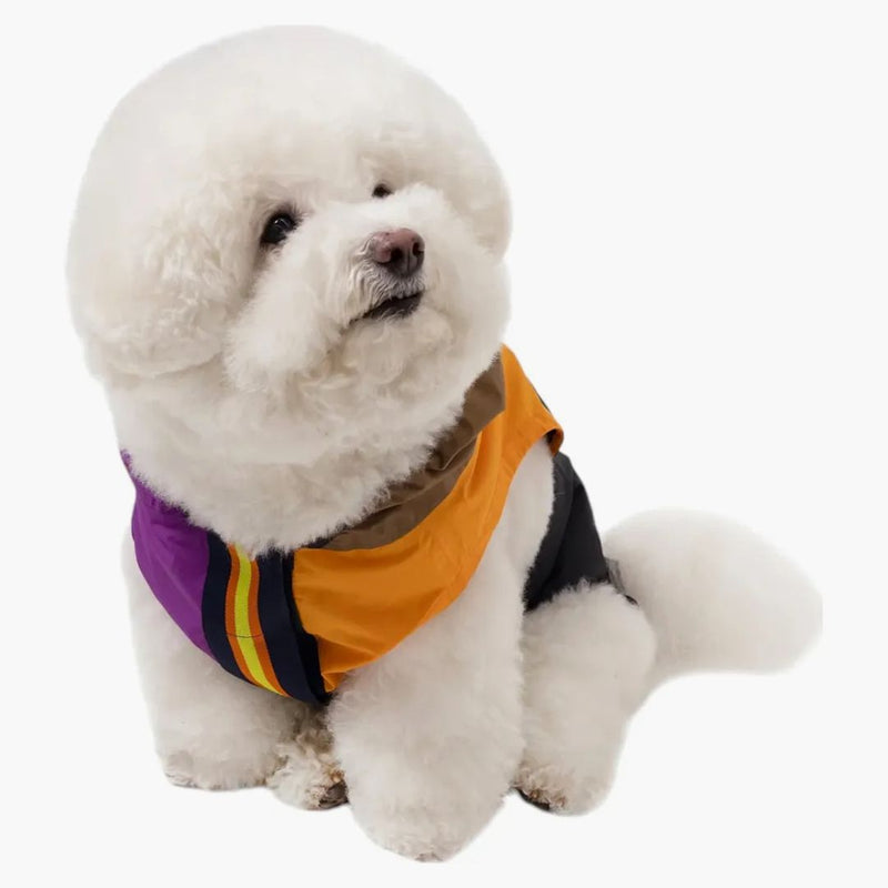 Palác K-Way Le Vrai 4.0 Horatio Dog Jacket Multicolor/Purple/Orange