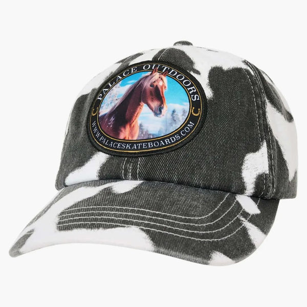Palác venku 6-panel tisk