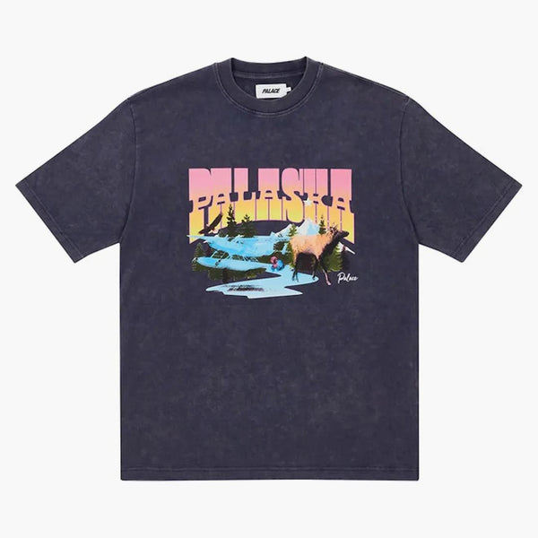 Palace Palaska Dye T-Shirt Purple