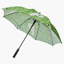 Palácový hrášek deštník zelená