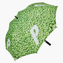 Palácový hrášek deštník zelená