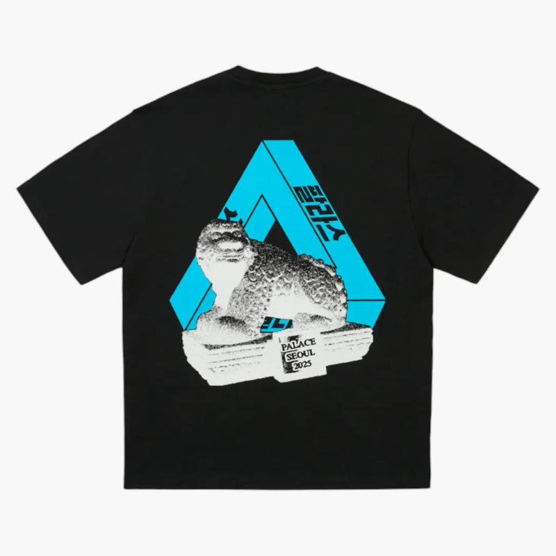 Palace Soul 2 Soul Tri-Ferg tričko černé