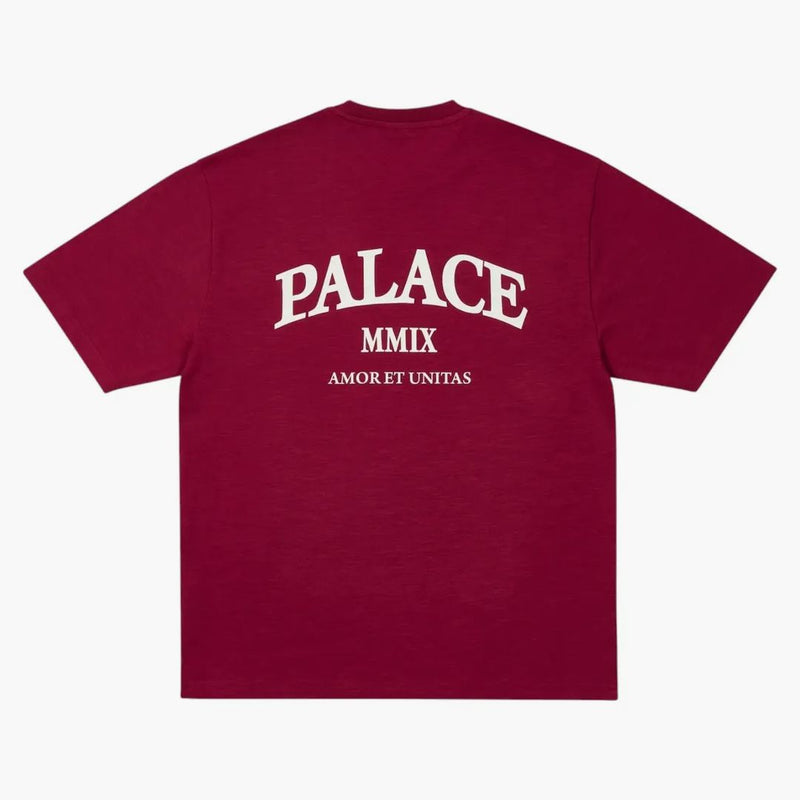Palace Unitas Slub T-shirt Berg