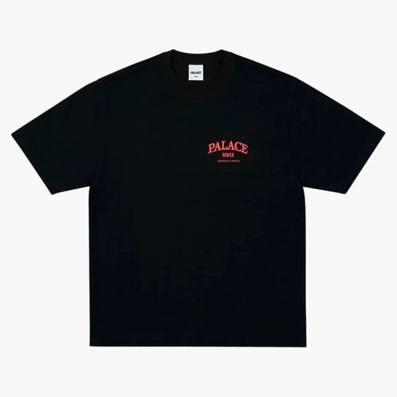 Palace Unitas Slub T-shirt Black