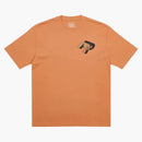 Palace Valley Of The Shadows T-shirt Caramel