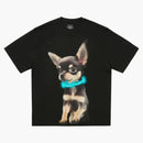 Palats yappy t-shirt svart