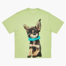 Tričko Palace Yappy Mojito