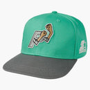 Palace X Starter Snapback Mint