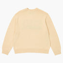 Palace x Thrasher na drutach biały