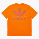 Palace X Adidas Nature Tea Orange