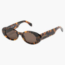 Palmové andělé gilroy sluneční brýle hnědé