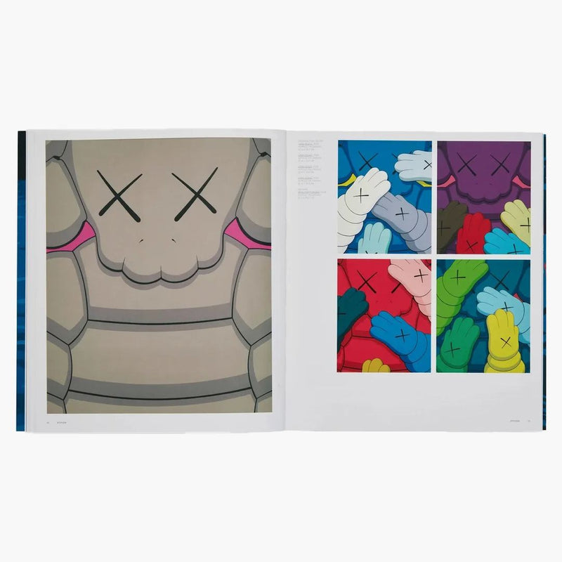 Kniha Kaws Phaidon Uniqlo (podepsaná verze)
