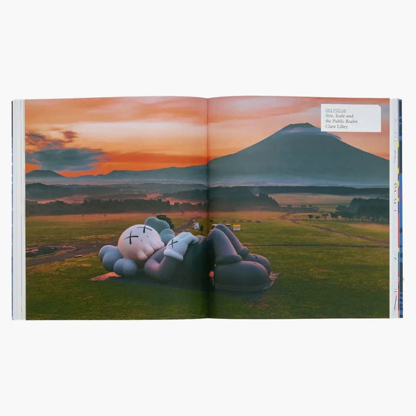 Kaws Phaidon Uniqlo Book (Signed version)