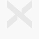 Jordan Franchise Slide Black White (gs)