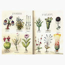 Rizzoli Codex Seraphinianus Book