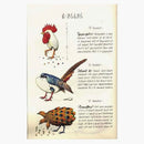 Rizzoli Codex Seraphinianus Book