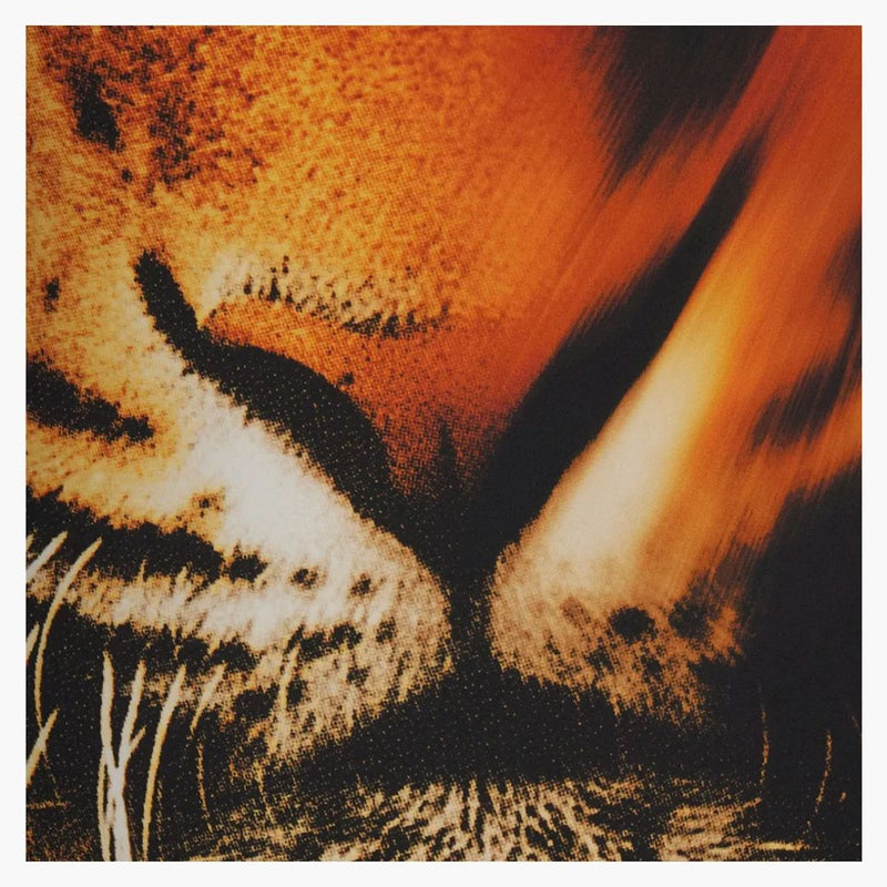 Skims X Roberto Cavalli Triangle Bikini Top Tiger Face Print