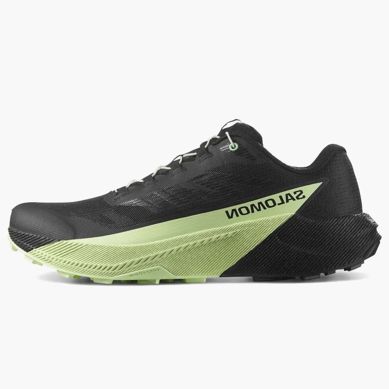Salomon Pulsar Black Patina Green