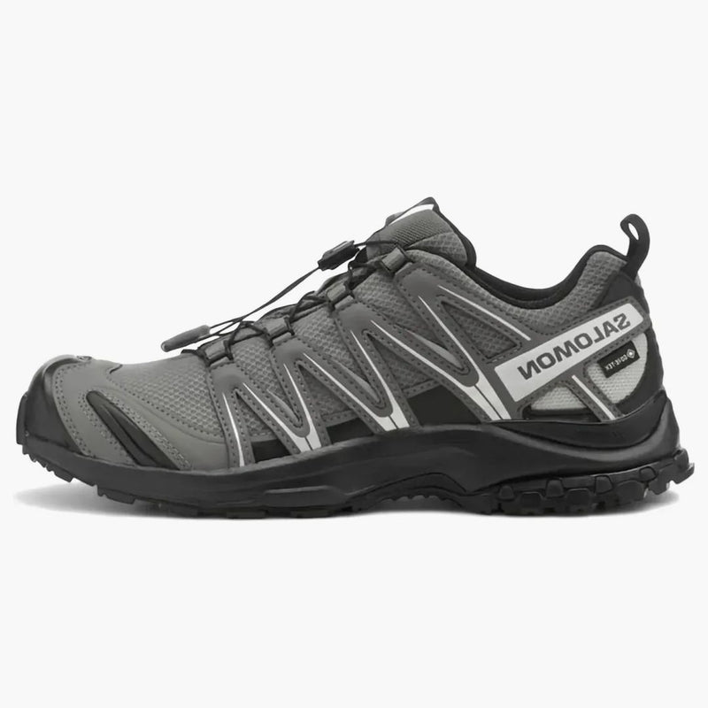 Salomon XA Pro 3D Gore-Tex Pewter Silver Cloud