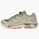 Salomon Xt-4 Og Aurora Borealis Shortbread
