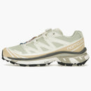 Salomon Xt-6 Aloe Wash Feather Grey