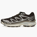 Salomon Xt-6 Black Coffee