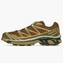 Salomon Xt-6 Rubber Lizard
