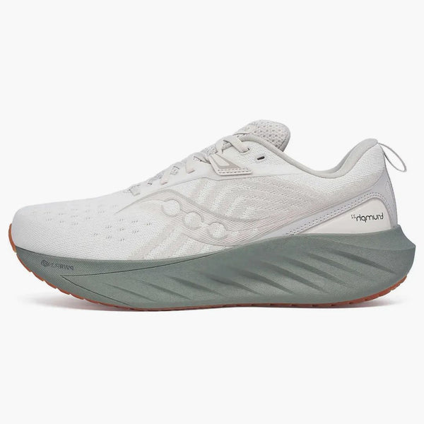 Saucony Triumph 22 Moon Bough