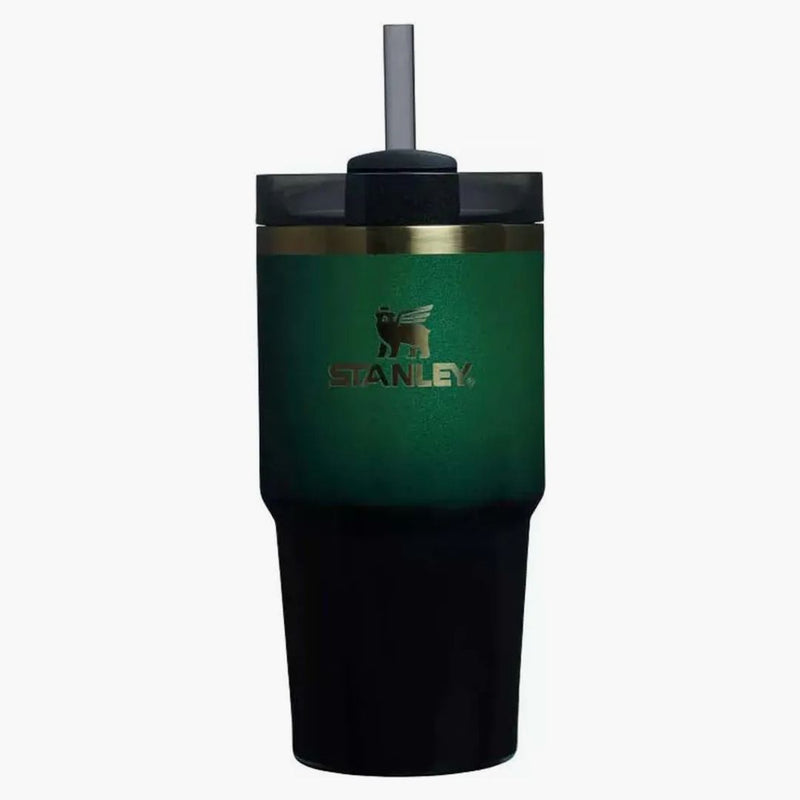 Stanley X Target X Wicked Flowstate Quencher 20oz Tumbler Elphaba