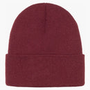 Stussy manguera stock gorro syrah