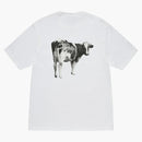 Stussy Grassfed T-shirt White