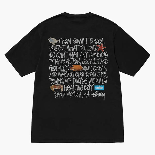 Stussy Heal the Bay Pigment Dyed Summit till Sea Tea Black