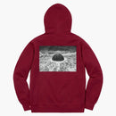 Supreme Akira Patches Hooded Sweatshirt Cardinal