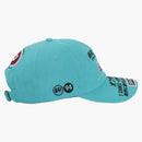 Supreme Atv 6-panel (fw25) Teal