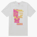 Högsta anatomi te vit vit