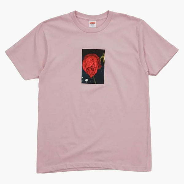 Supreme Araki Rose Tea Dusty Pink